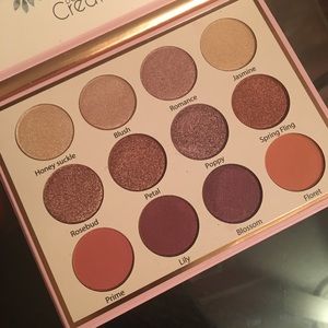Beauty Creations eye shadow